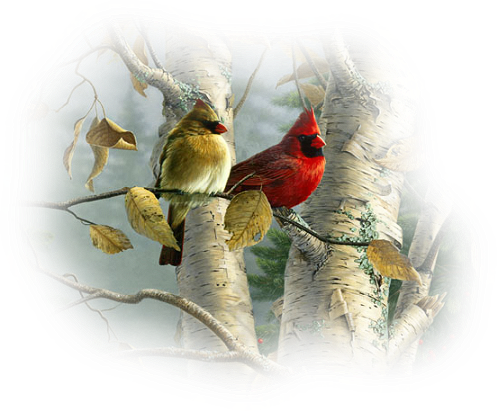 őszi állatok_121.png